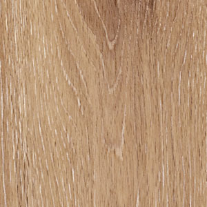 ET_WOODLAND_OAK_FOXTAIL