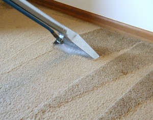 carpet-cleaning-to-replace-the-blue-one-